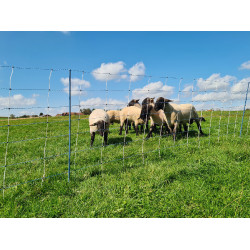 TitanNet Premium Vario AKO Blanco / azúl TitanNet Premium Vario AKO Blanco / azúl