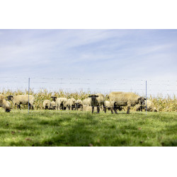 TitanNet Premium XBraid AKO Blanco / azúl