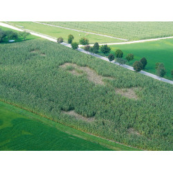 WildNet AKO Blanco / azúl WildNet AKO Blanco / azúl