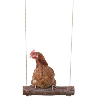 Columpio para gallinas Kerbl Hobbyfarming Columpio para gallinas Kerbl Hobbyfarming
