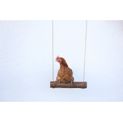 Columpio para gallinas Kerbl Hobbyfarming Columpio para gallinas Kerbl Hobbyfarming