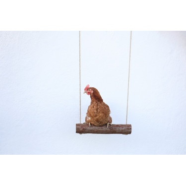Columpio para gallinas Kerbl Hobbyfarming Columpio para gallinas Kerbl Hobbyfarming