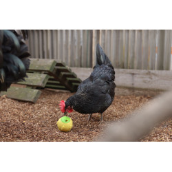 Pelota snack Kerbl Hobbyfarming Pelota snack Kerbl Hobbyfarming
