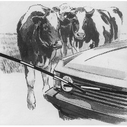 Barra de repuesto Electro Gate AKO Negro