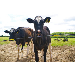 Barra de repuesto Electro Gate AKO Negro