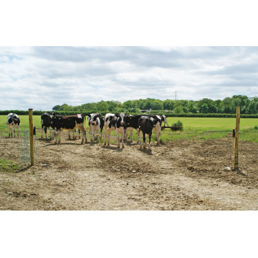 Barra de repuesto Electro Gate AKO Negro