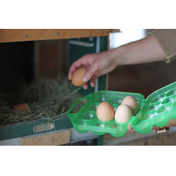 Caja de transporte para huevos Kerbl Hobbyfarming Verde transparente