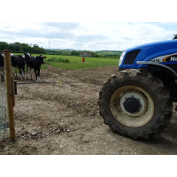 Bisagra de repuesto Electro Gate Kerbl Negro / amarillo