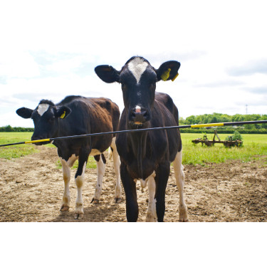 Bisagra de repuesto Electro Gate Kerbl Negro / amarillo