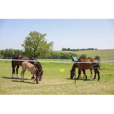 Cuerda de cerco PlatinumLine AKO Blanco / azúl Cuerda de cerco PlatinumLine AKO Blanco / azúl