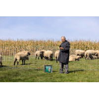 Duo Power Xi 8000 inteligente AKO Verde