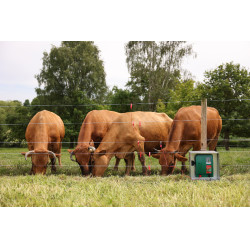 Hilo de cercado PlatinumLine AKO Blanco / azúl Hilo de cercado PlatinumLine AKO Blanco / azúl