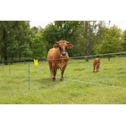 Hilo de cercado PlatinumLine AKO Blanco / azúl Hilo de cercado PlatinumLine AKO Blanco / azúl