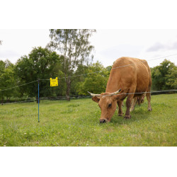 Hilo de cercado PlatinumLine AKO Blanco / azúl Hilo de cercado PlatinumLine AKO Blanco / azúl