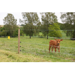 Hilo de cercado PlatinumLine AKO Blanco / azúl Hilo de cercado PlatinumLine AKO Blanco / azúl