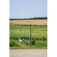 Malla avícola Premium AKO Verde