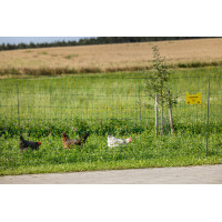 Malla avícola Premium AKO Verde