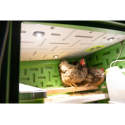 Coop Móvil Kerbl Hobbyfarming Verde / blanco Coop Móvil Kerbl Hobbyfarming Verde / blanco