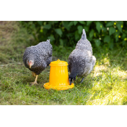 Comedero para pollos y pollitos Kerbl Hobbyfarming Amarillo