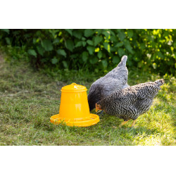 Comedero para pollos y pollitos Kerbl Hobbyfarming Amarillo