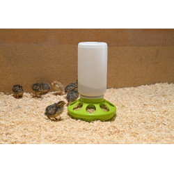 Comedero para codornices Kerbl Hobbyfarming Verde claro