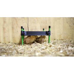 Placa calefactora para pollitos CosyHeat Kerbl Hobbyfarming Negro / verde
