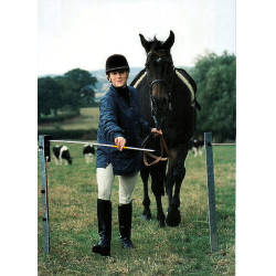 Portillo eléctrico Electro Gate AKO Negro