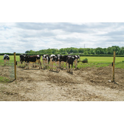 Portillo eléctrico Electro Gate AKO Negro