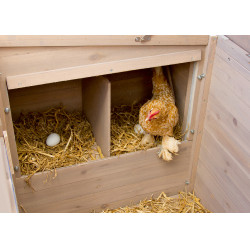 Gallinero Emma Kerbl Hobbyfarming Natural Marrón Gallinero Emma Kerbl Hobbyfarming Natural Marrón