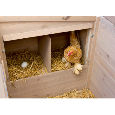 Gallinero Emma Kerbl Hobbyfarming Natural Marrón Gallinero Emma Kerbl Hobbyfarming Natural Marrón