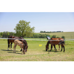 Cinta para cercas PlatinumLine AKO Blanco / azúl