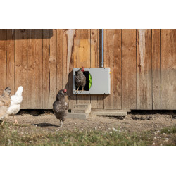 Puerta de gallinero SmartCoop Kerbl Hobbyfarming Gris