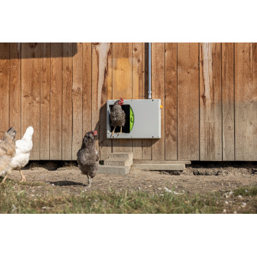 Puerta de gallinero SmartCoop Kerbl Hobbyfarming Gris