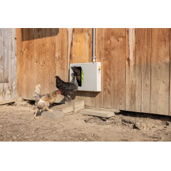 Puerta de gallinero SmartCoop Kerbl Hobbyfarming Gris