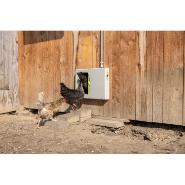 Puerta de gallinero SmartCoop Kerbl Hobbyfarming Gris