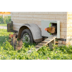 Puerta de gallinero SmartCoop Kerbl Hobbyfarming Gris