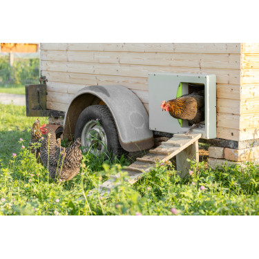 Puerta de gallinero SmartCoop Kerbl Hobbyfarming Gris