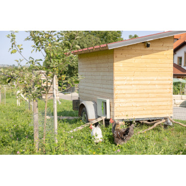 Puerta de gallinero SmartCoop Kerbl Hobbyfarming Gris