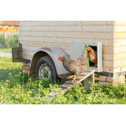 Puerta de gallinero SmartCoop Kerbl Hobbyfarming Gris