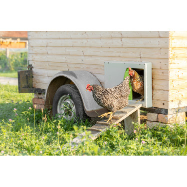 Puerta de gallinero SmartCoop Kerbl Hobbyfarming Gris