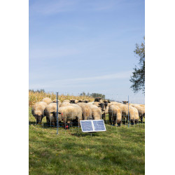 Sun Power S 2400 smart AKO Verde