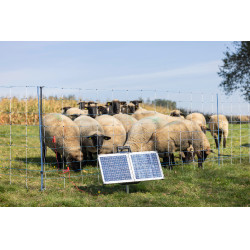 Sun Power S 2400 smart AKO Verde