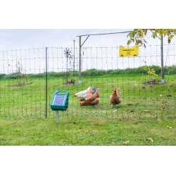 Sun Power S 250 AKO Verde