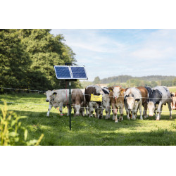 Sun Power S 3000 AKO Verde Sun Power S 3000 AKO Verde