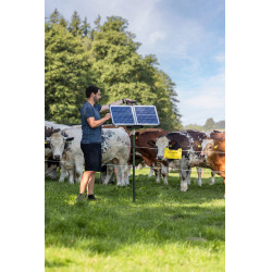 Sun Power S 3000 AKO Verde Sun Power S 3000 AKO Verde