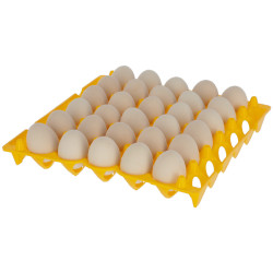 Soporte para huevos Kerbl Hobbyfarming Amarillo