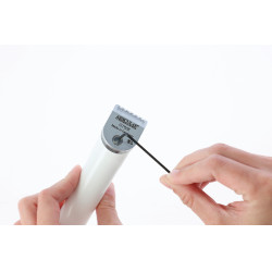 Cabezal de corte de repuesto para Exacta/Isis Aesculap Gris Cabezal de corte de repuesto para Exacta/Isis Aesculap Gris