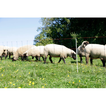 TitanLight Net Kerbl Hobbyfarming Naranja / negro