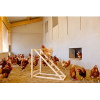 Torre de escalada para gallinas Kerbl Hobbyfarming Madera Beige Torre de escalada para gallinas Kerbl Hobbyfarming Madera Beige