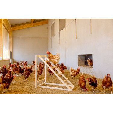 Torre de escalada para gallinas Kerbl Hobbyfarming Madera Beige